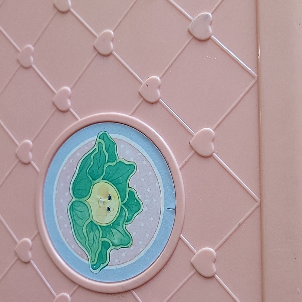 Cabbage patch doll case - Picture 3 of 9